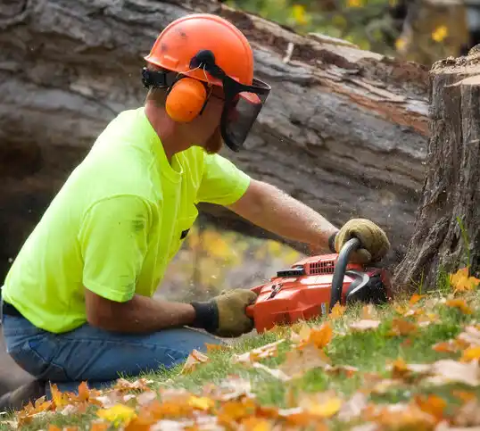 tree services Gallatin Gateway